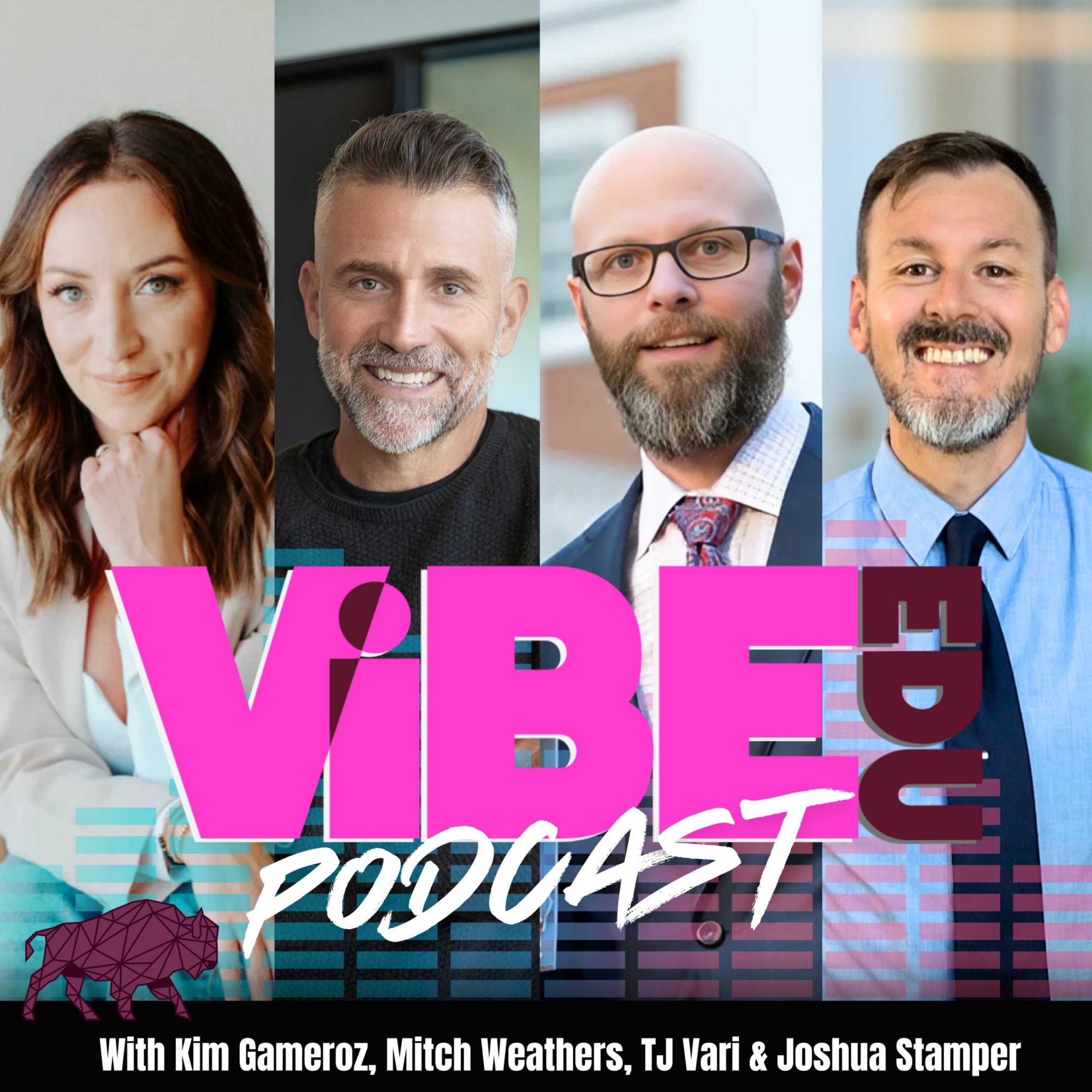 VIBE Edu Podcast, Kim Gameroz, TJ Vari, Mitch Weathers, Joshua Stamper, Professional Development, Aspire to Lead
