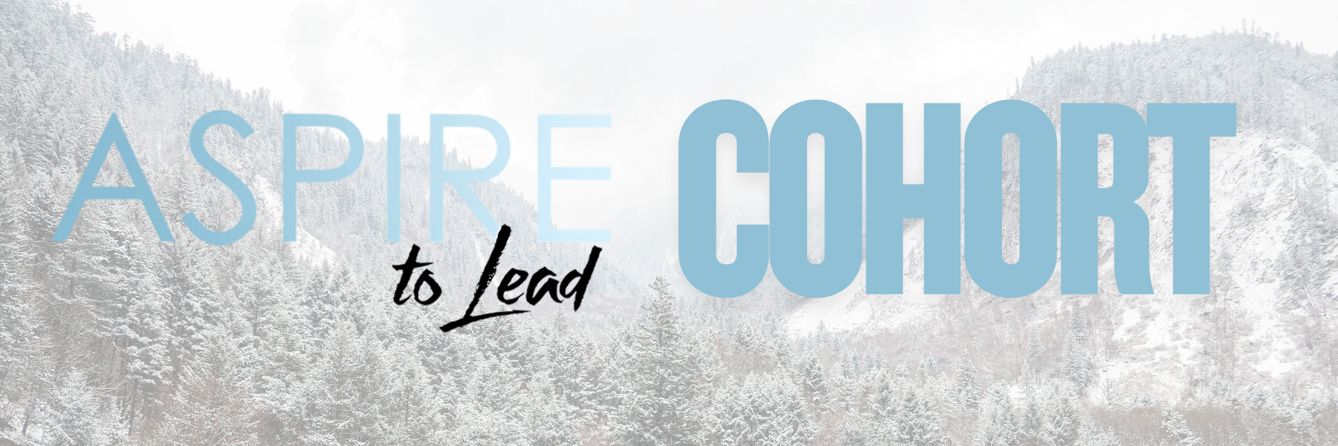 Aspire Cohort, Aspire to Lead